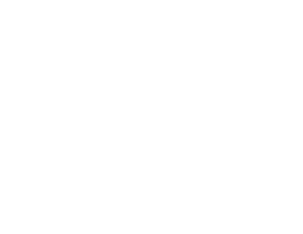 Logo Bowling Vereniging Oosterhout